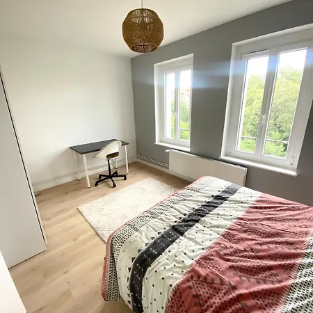 Avec Vue Apartment Nancy